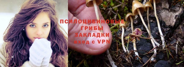 амф Алексин