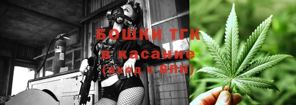 амф Алексин
