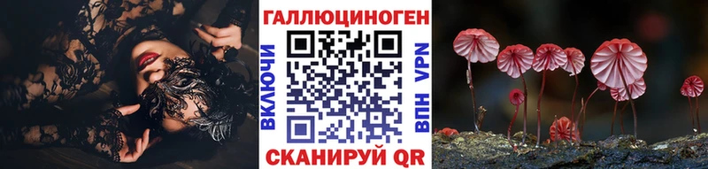 Псилоцибиновые грибы Psilocybine cubensis  закладка  Ипатово 