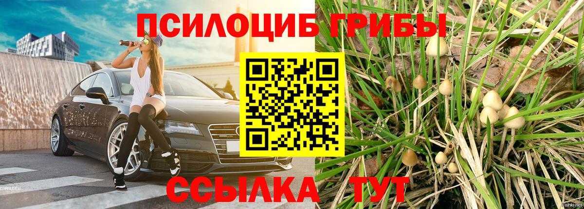 Псилоцибиновые грибы Magic Shrooms  Вход с VPN  даркнет сайт  Ипатово 
